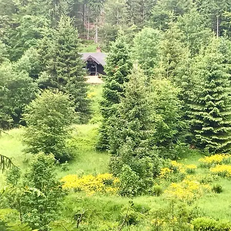 Flowmove Laliki * Laliki