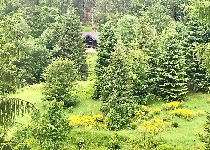 Flowmove Laliki * Laliki