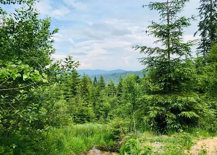 Fm בית נופש *